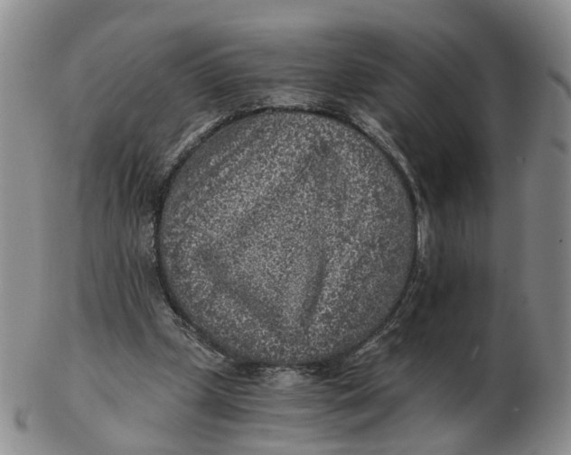 X0000103160249200809121844