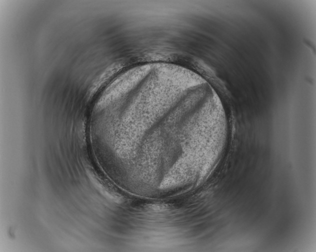 X0000103160250200809121844