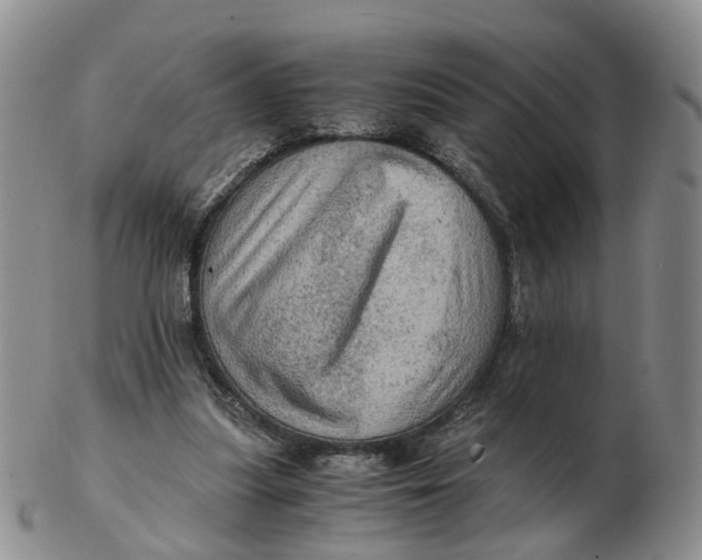 X0000103160251200809121844