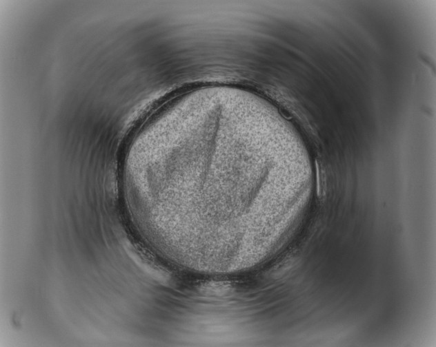 X0000103160252200809121844