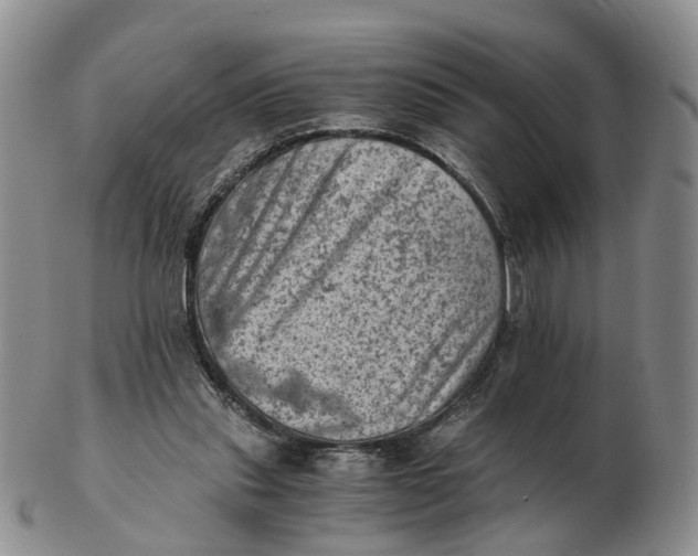 X0000103160253200809121844