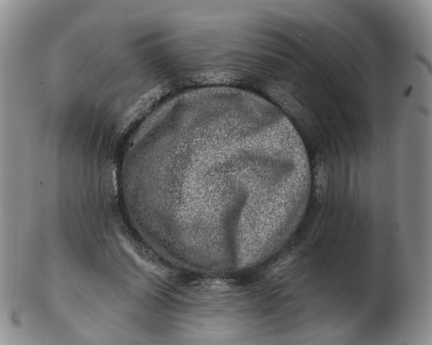 X0000103160254200809121844