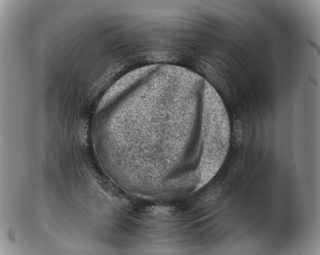 X0000103160255200809121844