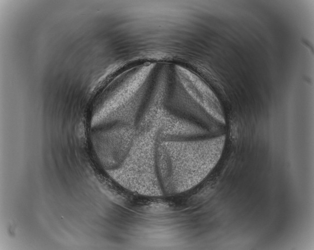 X0000103160256200809121844