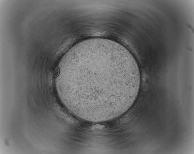 X0000103160257200809121844