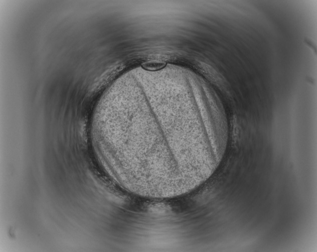 X0000103160258200809121844