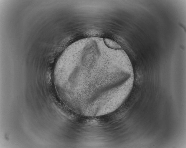 X0000103160259200809121844