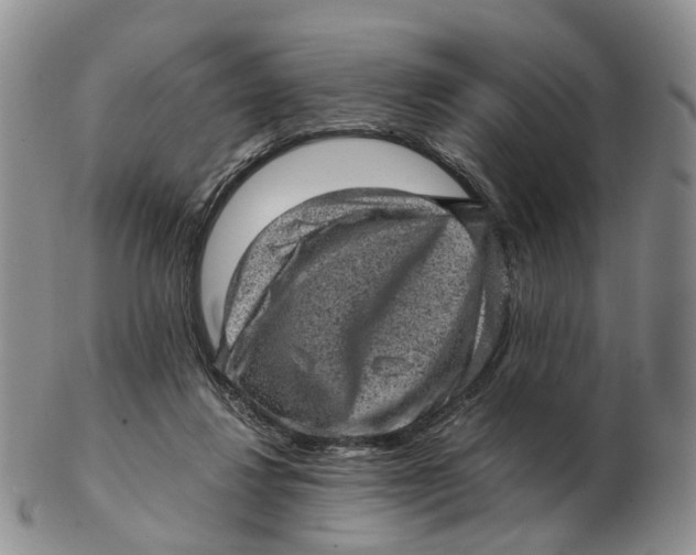 X0000103160260200809121844