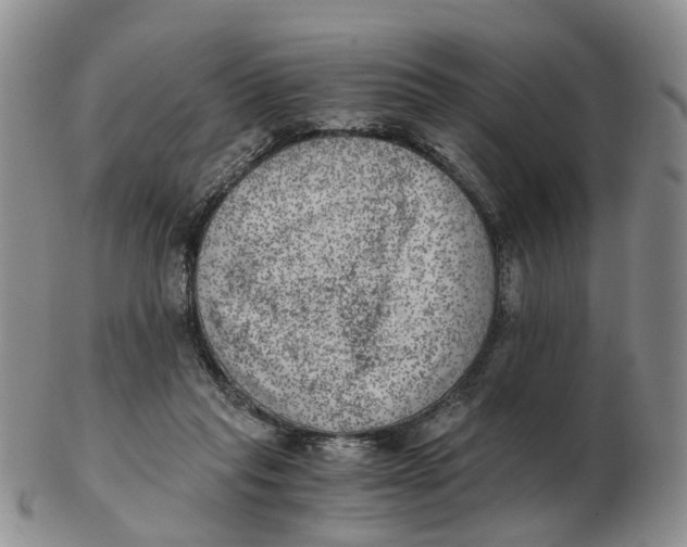 X0000103160261200809121844