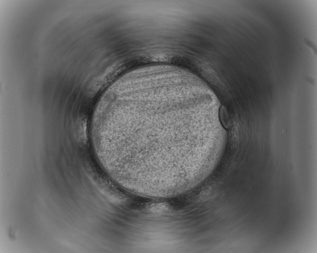 X0000103160262200809121844