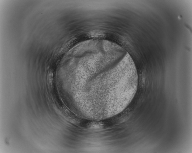 X0000103160263200809121844