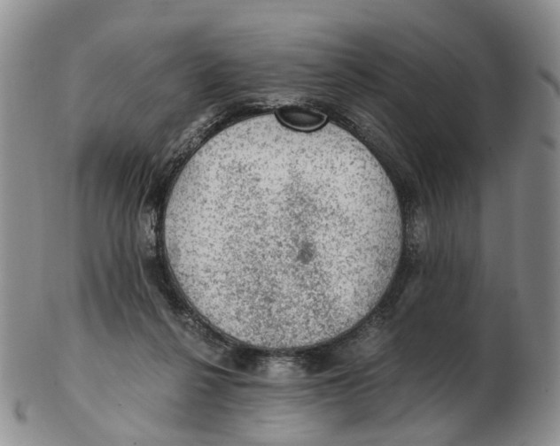 X0000103160264200809121844