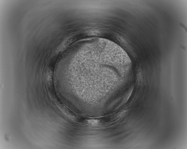 X0000103160265200809121844