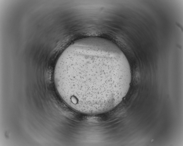 X0000103160268200809121844