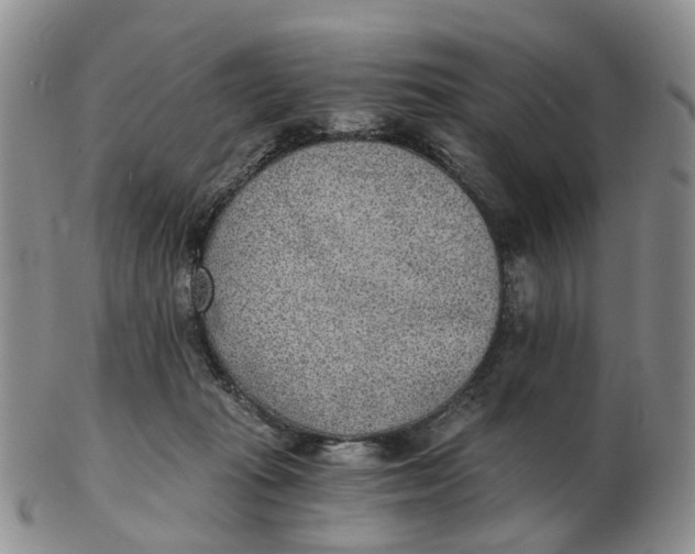 X0000103160269200809121844