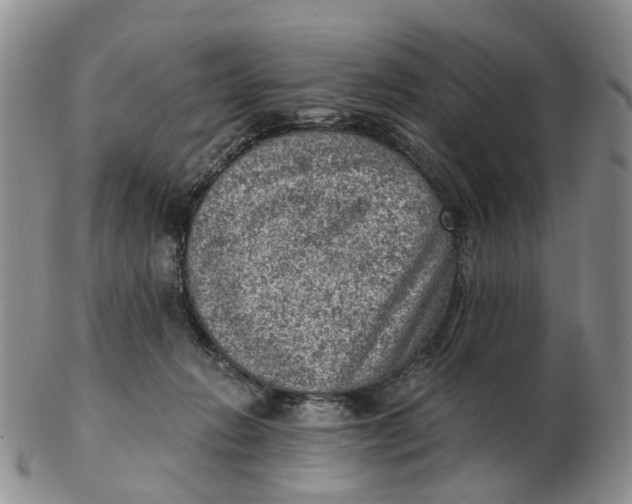 X0000103160270200809121844