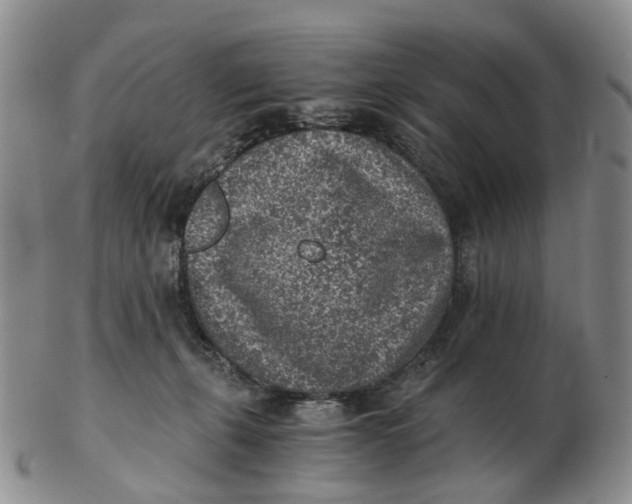 X0000103160271200809121844