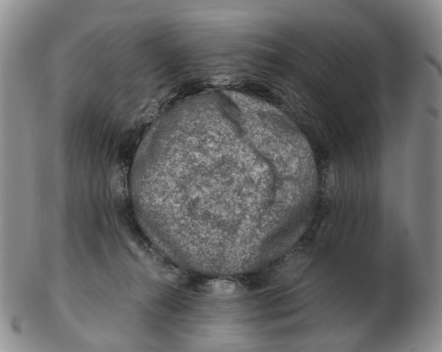 X0000103160272200809121844