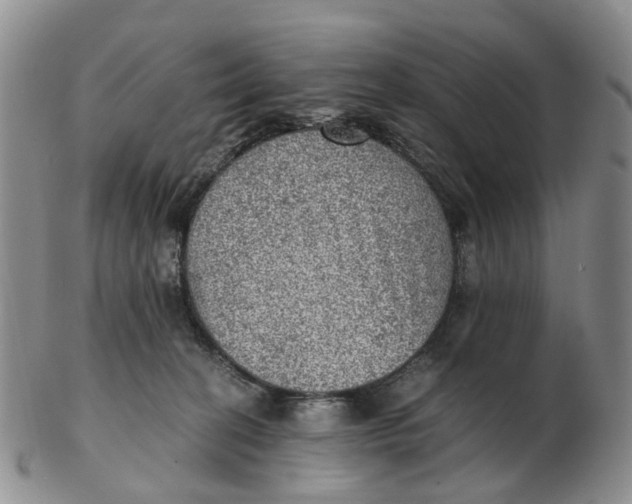 X0000103160274200809121844