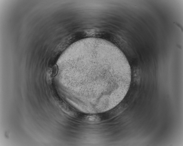 X0000103160275200809121844