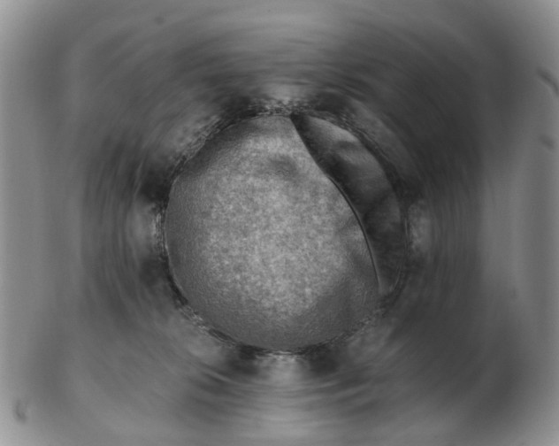 X0000103160276200809121844