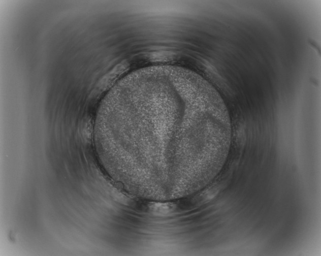 X0000103160277200809121844