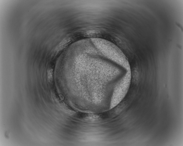 X0000103160278200809121844