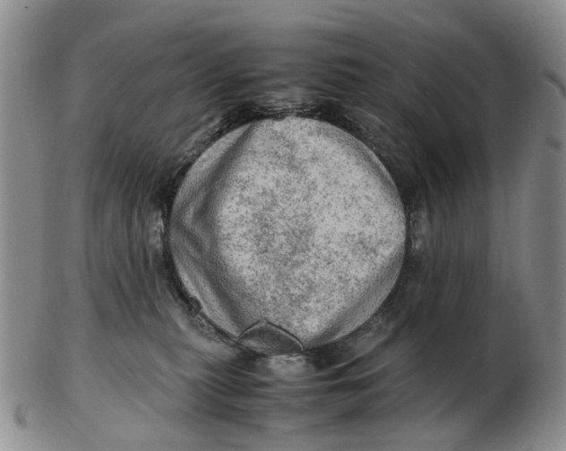 X0000103160279200809121844