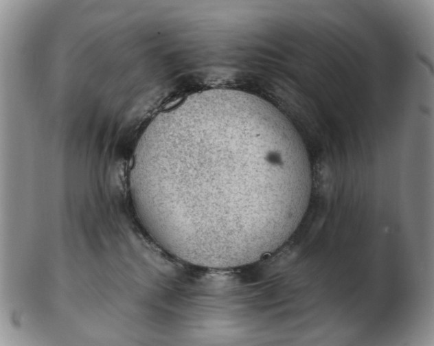 X0000103160280200809121845