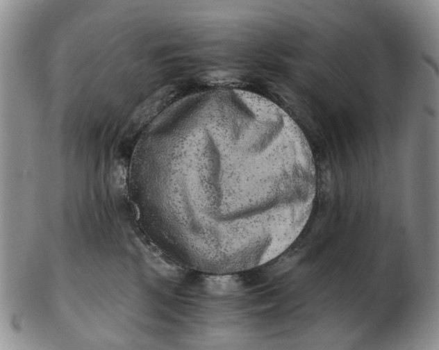 X0000103160281200809121845