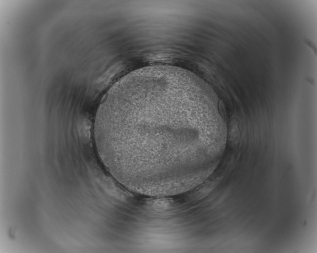 X0000103160282200809121845