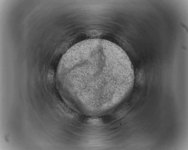 X0000103160283200809121845