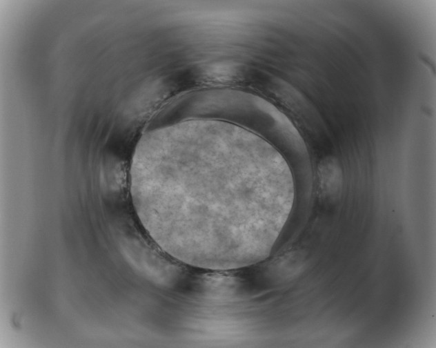 X0000103160284200809121845