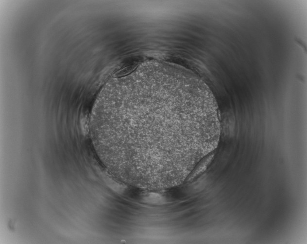 X0000103160285200809121845