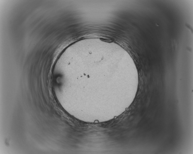 X0000103160289200809121844