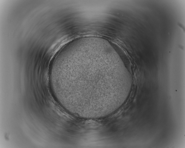 X0000103160290200809121844