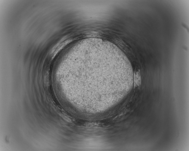 X0000103160291200809121844