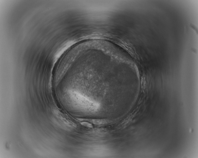 X0000103160292200809121844