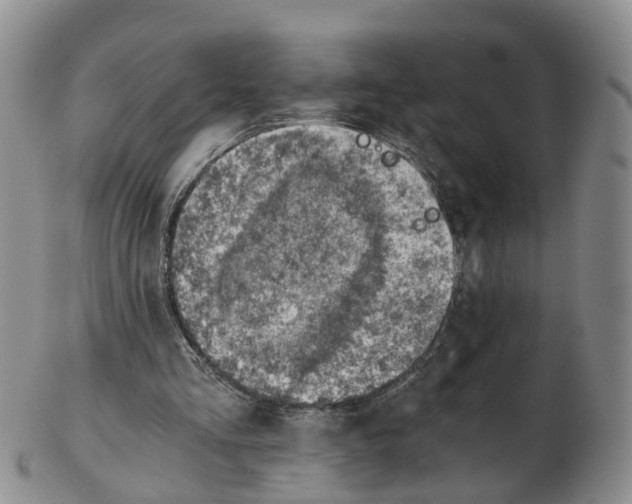 X0000103160293200809121844