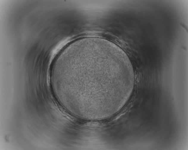 X0000103160294200809121844