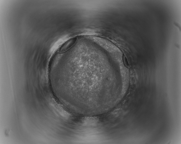 X0000103160296200809121844