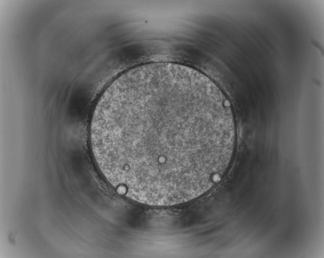 X0000103160297200809121844