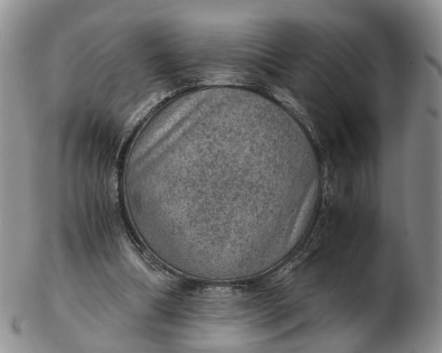 X0000103160298200809121844