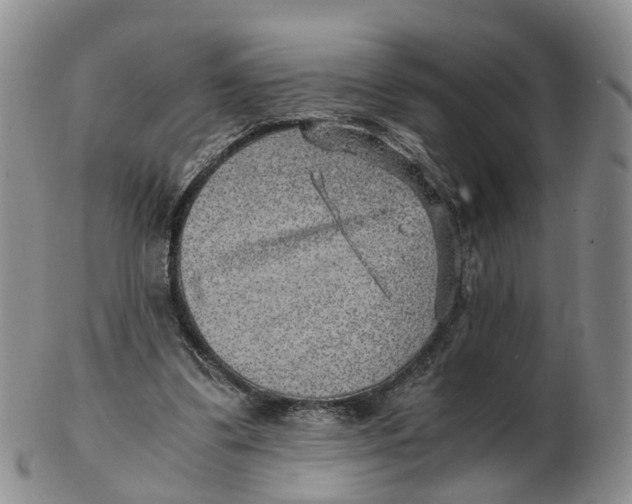 X0000103160299200809121844