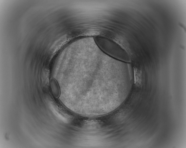 X0000103160300200809121844