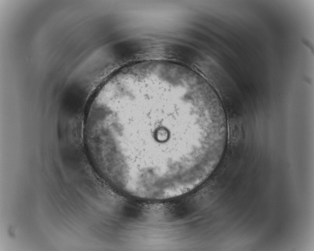 X0000103160301200809121844