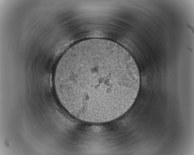 X0000103160302200809121844