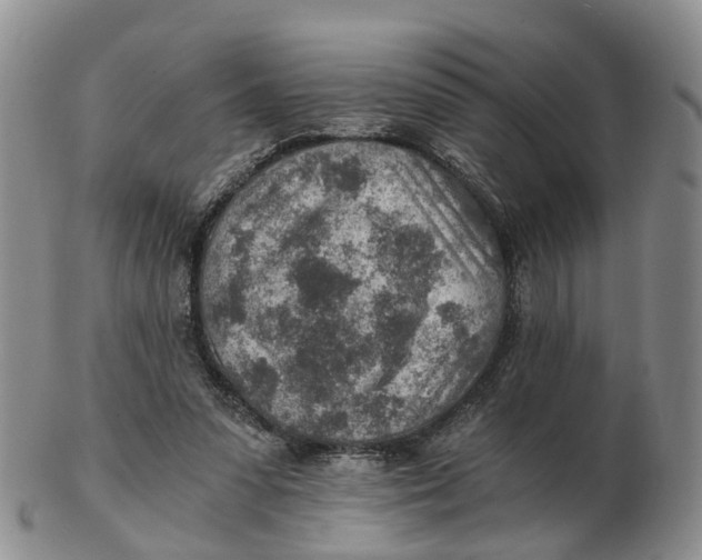 X0000103160303200809121844