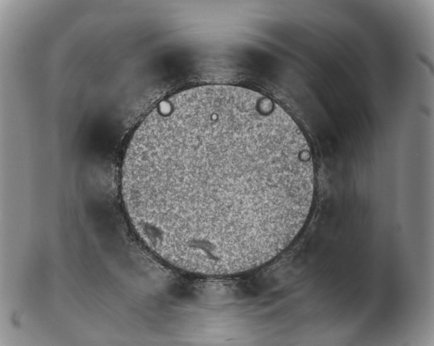 X0000103160305200809121844