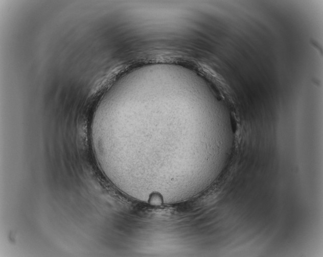 X0000103160306200809121844